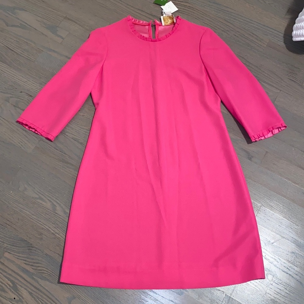 Kate spade pink dizzy dress